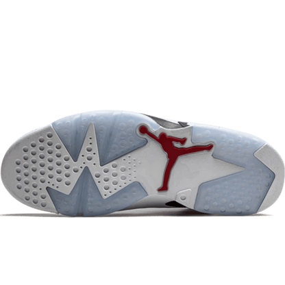 Air Jordan 6 Retro PS "Carmine 2021"