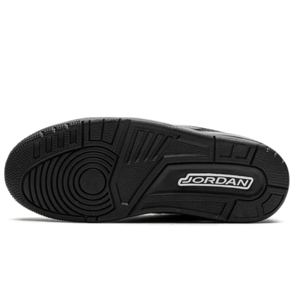 Air Jordan 3 "Black Cat 2025"